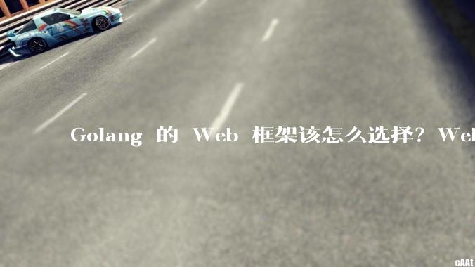 Golang 的 Web 框架该怎么选择？Web 开发又该怎样学？