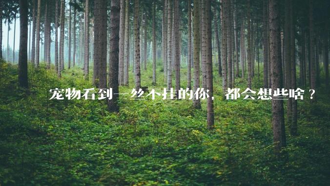 宠物看到一丝不挂的你, 都会想些啥?