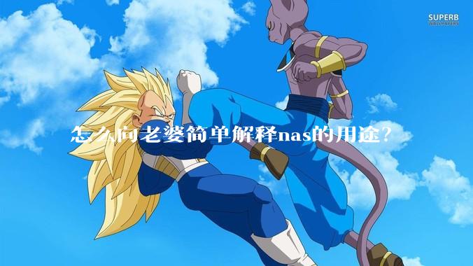 怎么向老婆简单解释nas的用途？