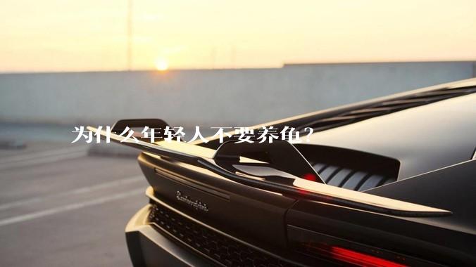 为什么年轻人不要养龟？