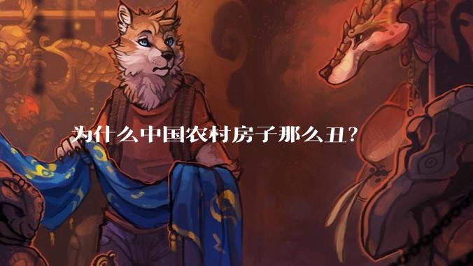 为什么中国农村房子那么丑？