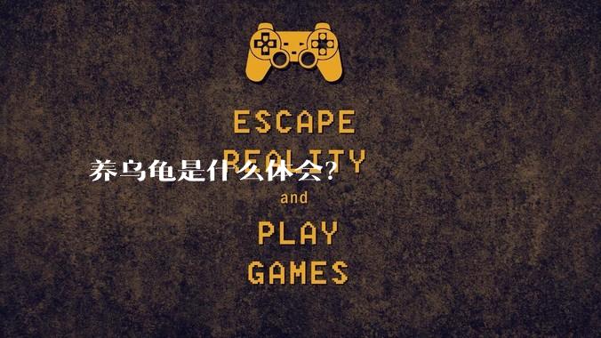 养乌龟是什么体会？