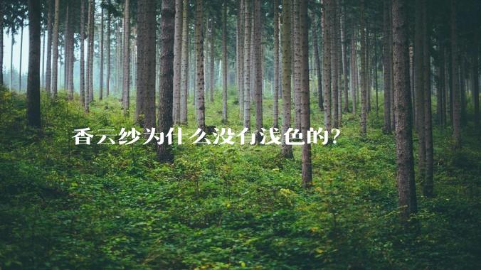 香云纱为什么没有浅色的？
