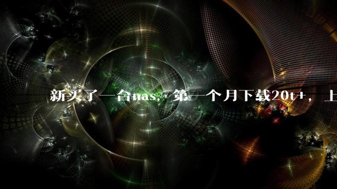 新买了一台nas，第一个月下载20t+，上传5+，不会被网警盯上吧?