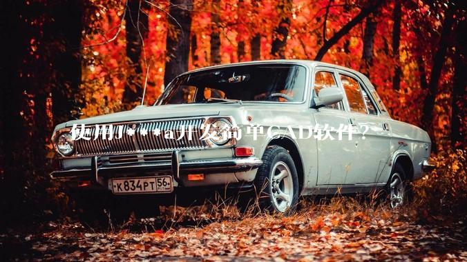 使用J***a开发简单CAD软件？