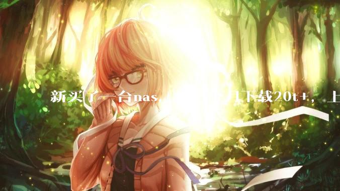 新买了一台nas，第一个月下载20t+，上传5+，不会被网警盯上吧?