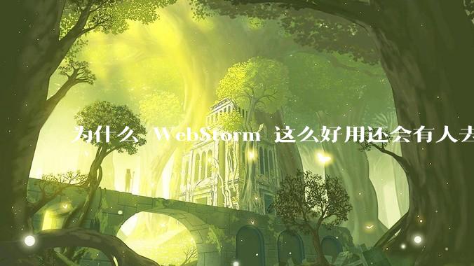 为什么 WebStorm 这么好用还会有人去用 VSCode？