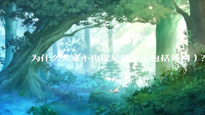 为什么大家不再提星链了（包括外网）？