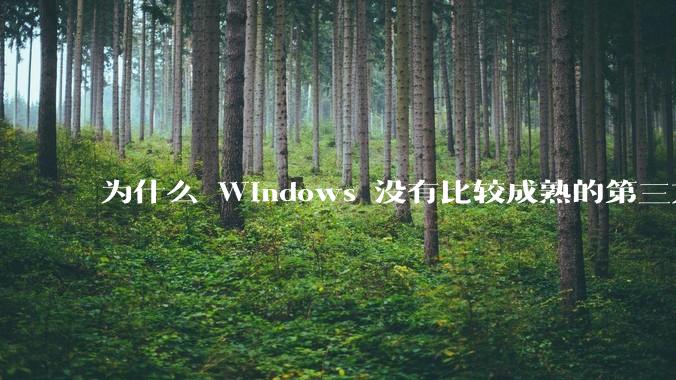 为什么 Windows 没有比较成熟的第三方桌面环境（explorer.exe）？
